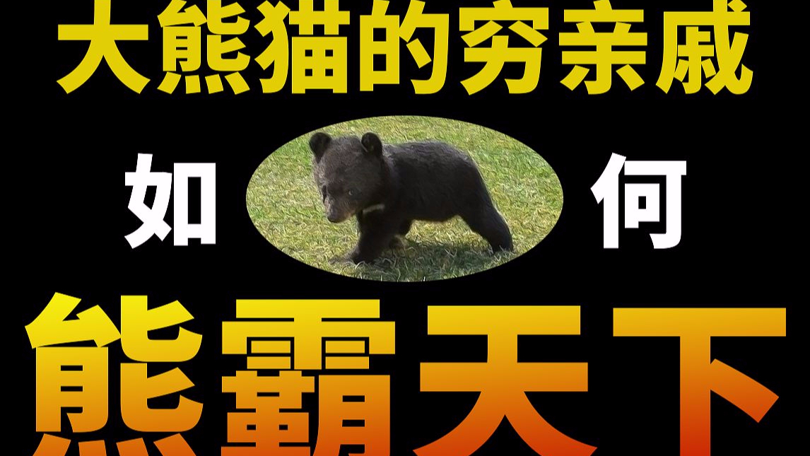 【基德】扒皮疯狂作案的四川黑熊家族 防御熊的唯一正确方式